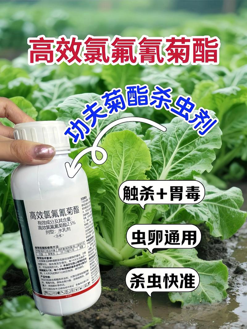 昌吉代生中心:农药对供卵代生妈妈的危害